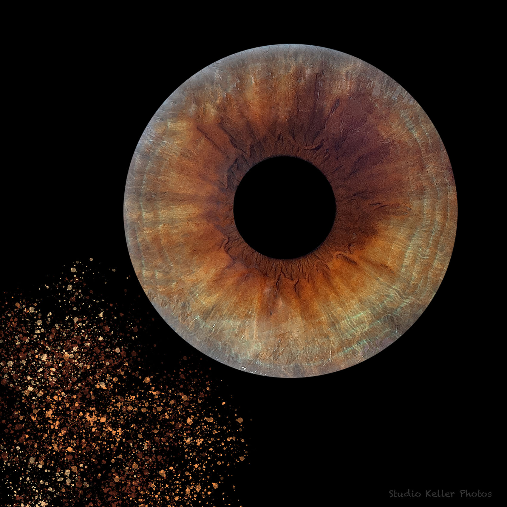 Keller photos - Slider Iris 5
